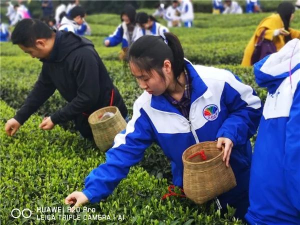 鎴愰兘灏忓鍗婃棩鐮斿瀹炶返鏁欒偛鍩哄湴,鎴愰兘灏忓鐮斿瀹炶返鏁欒偛鍩哄湴