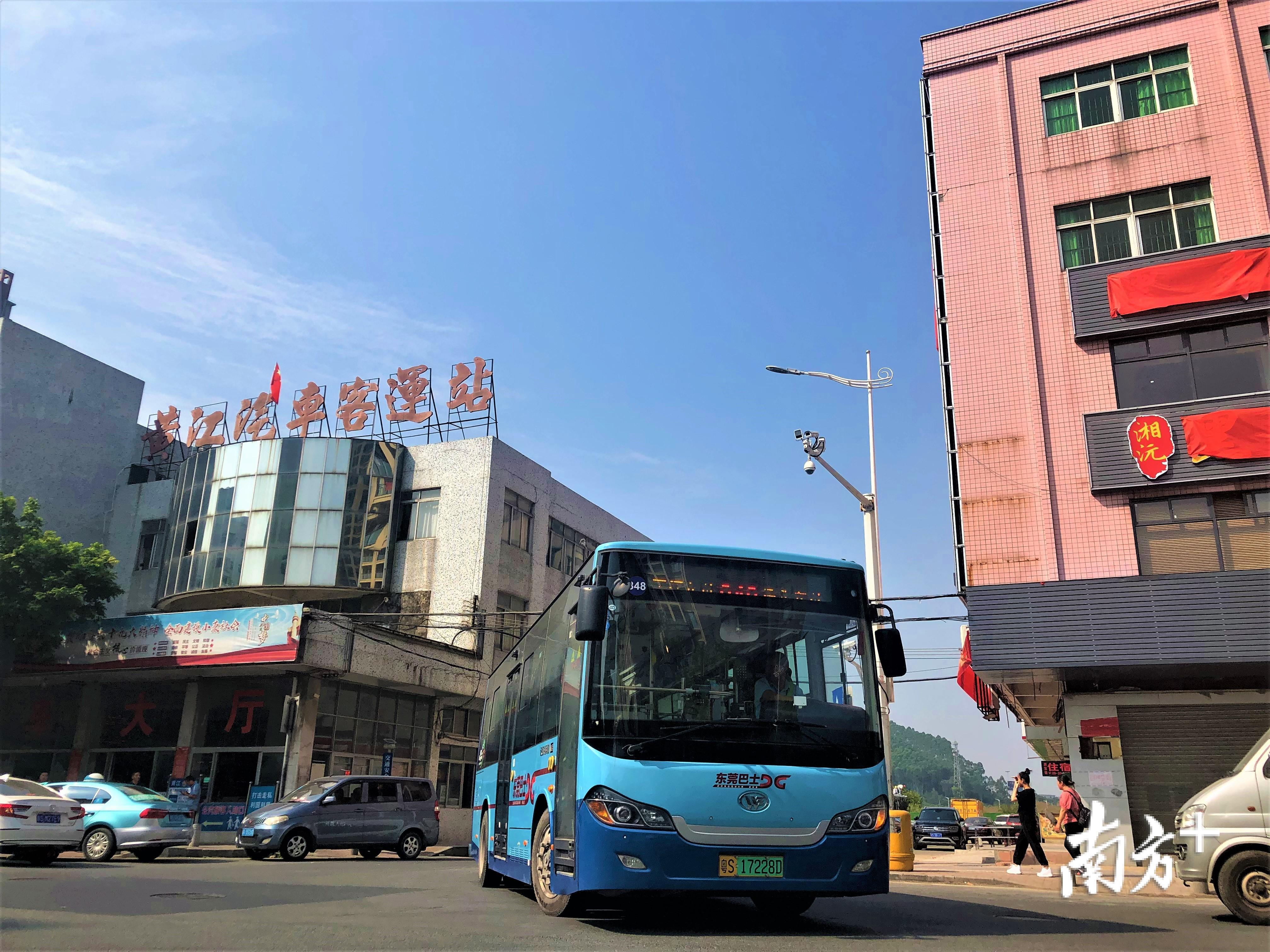 蓝巴士,东莞蓝巴士