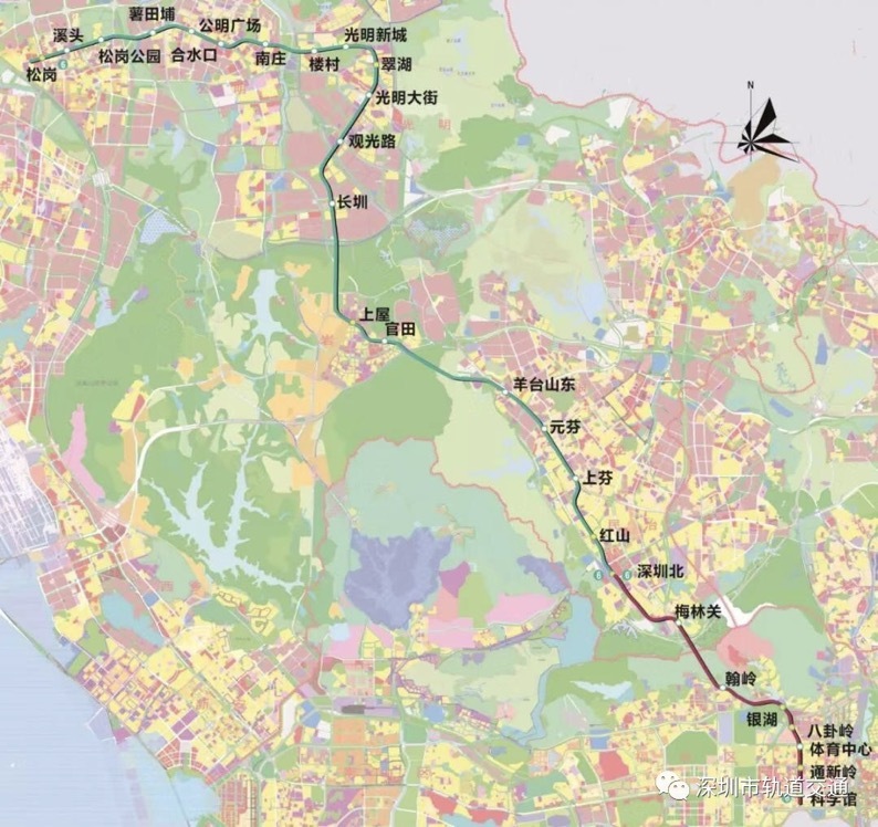 蓝巴士,东莞蓝巴士