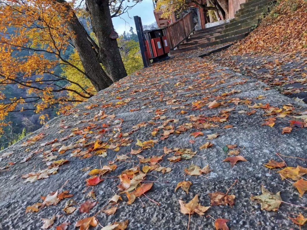 华山景区正式进入淡季运营时间,华山景区开放时间表最新
