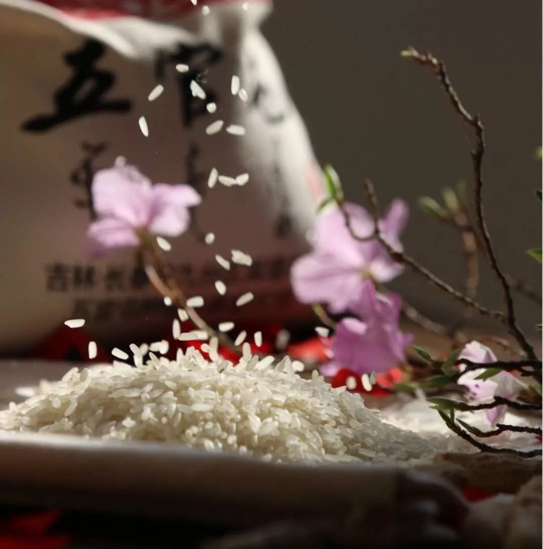 农遗良品|为啥吉林九台五官屯的大米能重如沙、亮如玉？