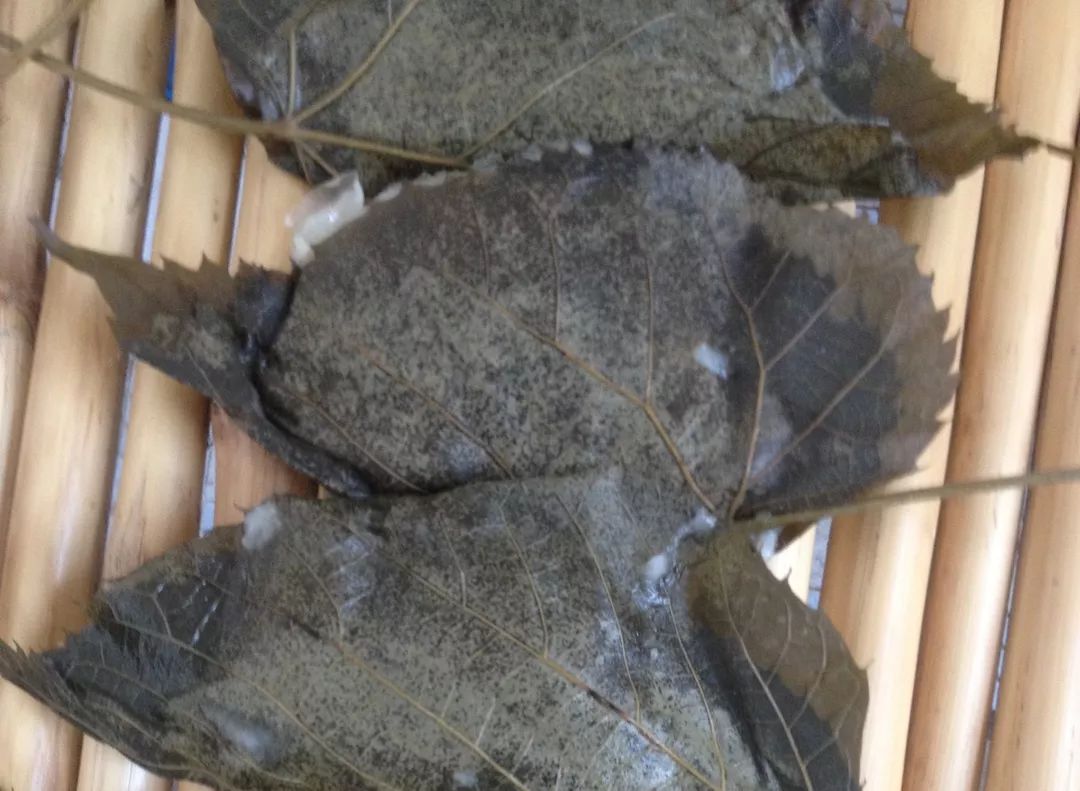 农遗良品|为啥吉林九台五官屯的大米能重如沙、亮如玉？