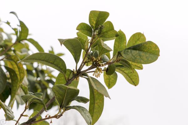 在宁波生活是怎样的体验,在宁波读书的真实感受