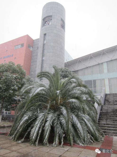 在宁波生活是怎样的体验,在宁波读书的真实感受