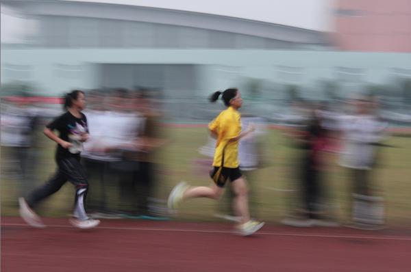 在宁波生活是怎样的体验,在宁波读书的真实感受