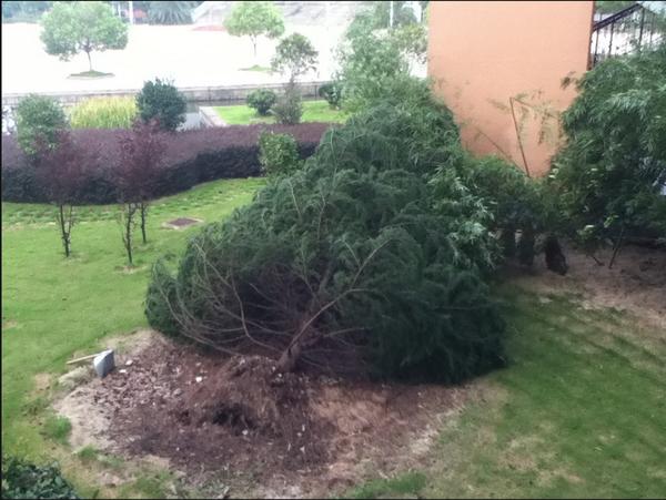 在宁波生活是怎样的体验,在宁波读书的真实感受