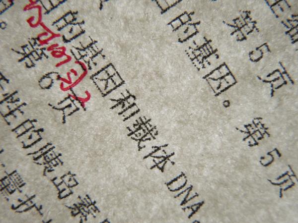 在宁波生活是怎样的体验,在宁波读书的真实感受