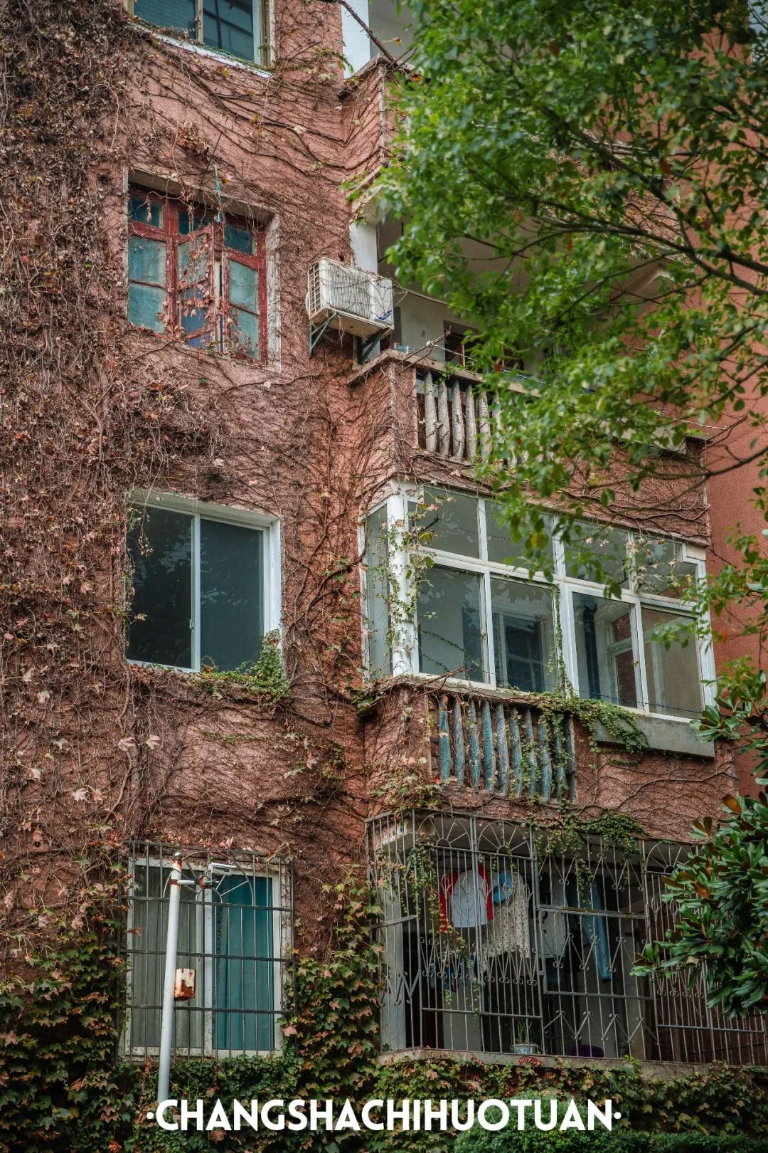 闀挎矙姘戞斂瀛︽牎瀹樼綉,闀挎矙姘戞斂瀛﹂櫌鐢熸椿