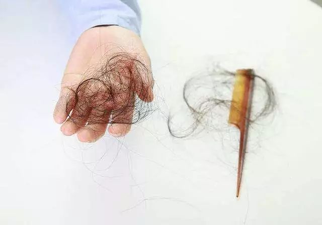 一根头发价值,一根头发值一万