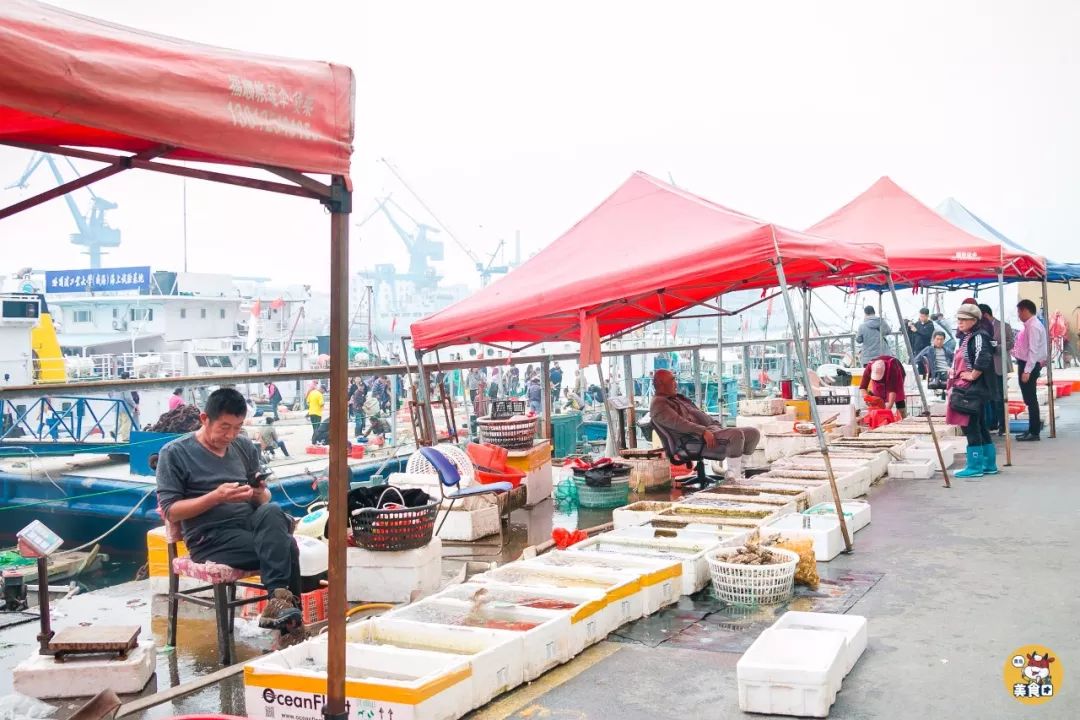 小港码头有蛏子吗,小港码头吃海鲜俱乐部电话
