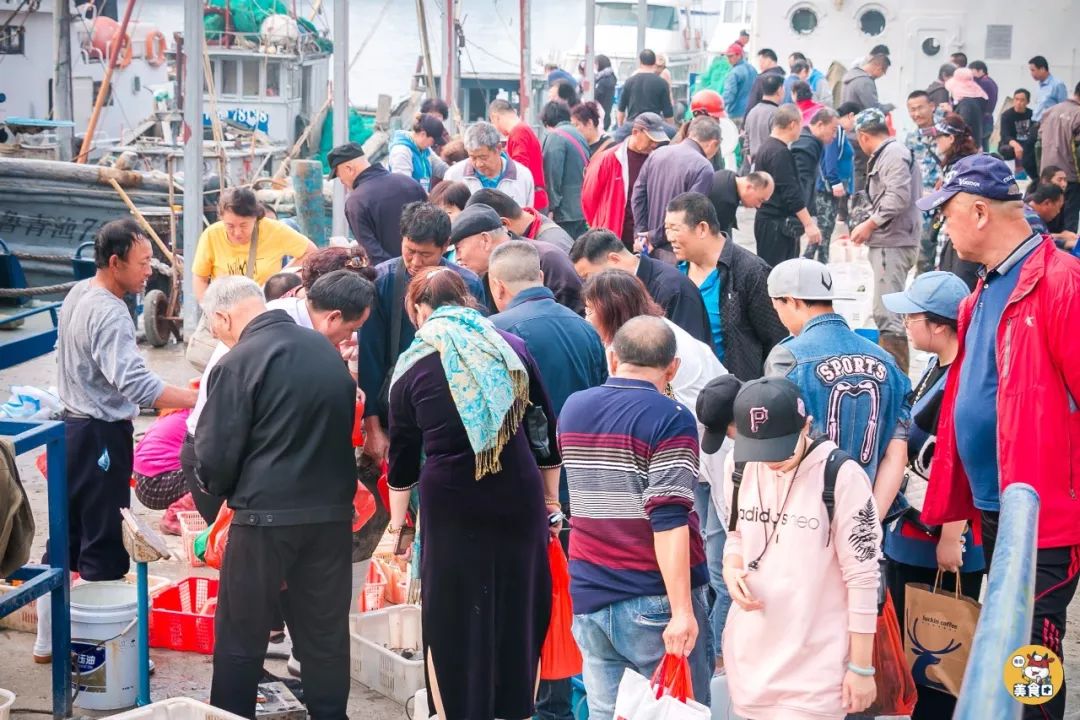 小港码头有蛏子吗,小港码头吃海鲜俱乐部电话
