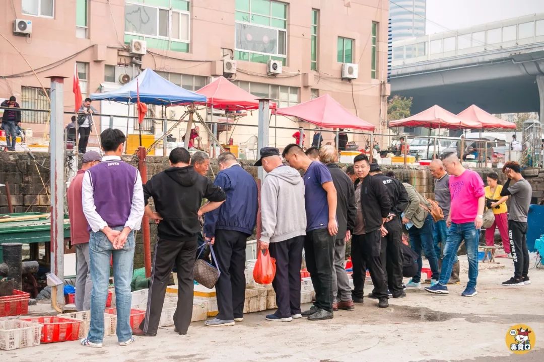 小港码头有蛏子吗,小港码头吃海鲜俱乐部电话