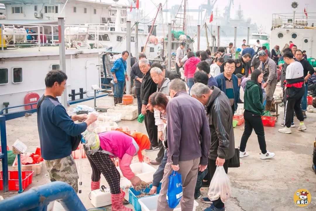 小港码头有蛏子吗,小港码头吃海鲜俱乐部电话