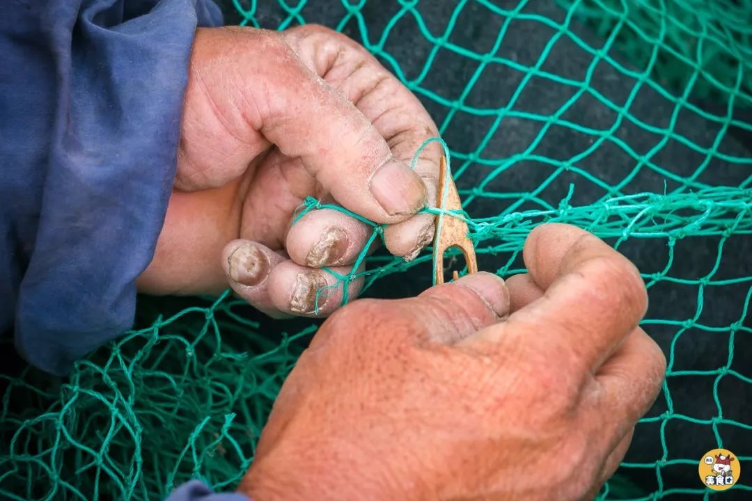 小港码头有蛏子吗,小港码头吃海鲜俱乐部电话