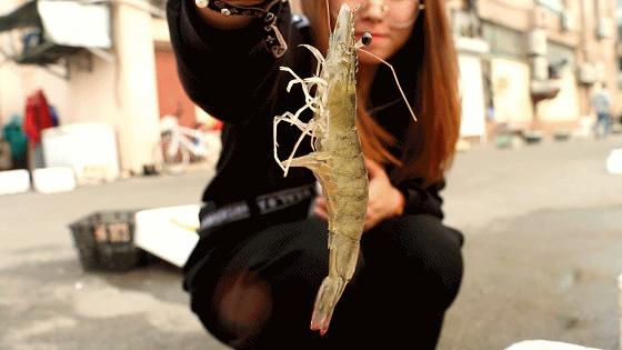 小港码头有蛏子吗,小港码头吃海鲜俱乐部电话