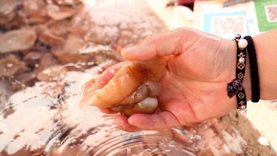 小港码头有蛏子吗,小港码头吃海鲜俱乐部电话