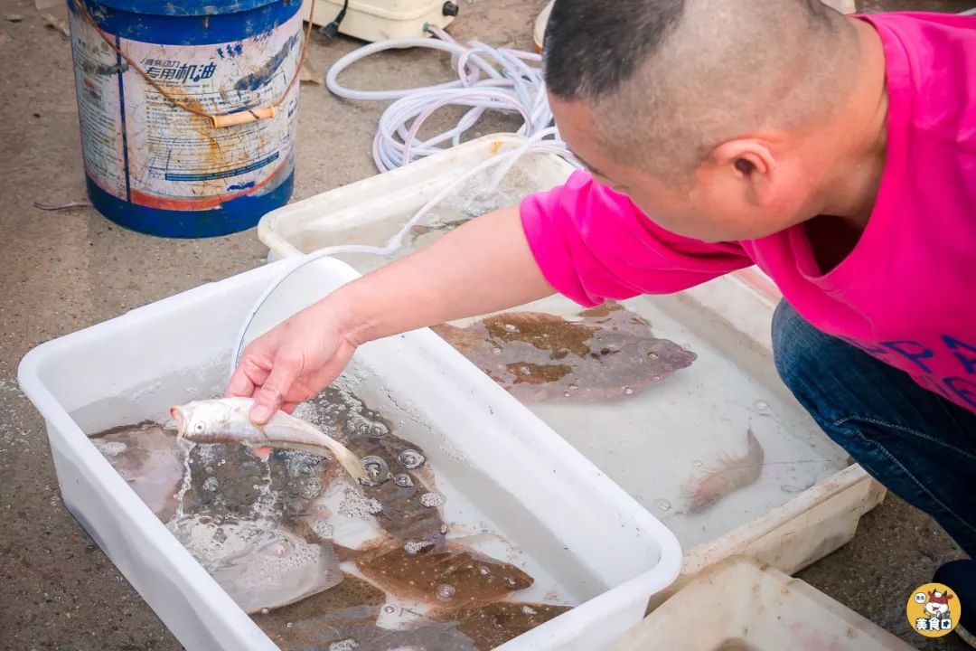 小港码头有蛏子吗,小港码头吃海鲜俱乐部电话