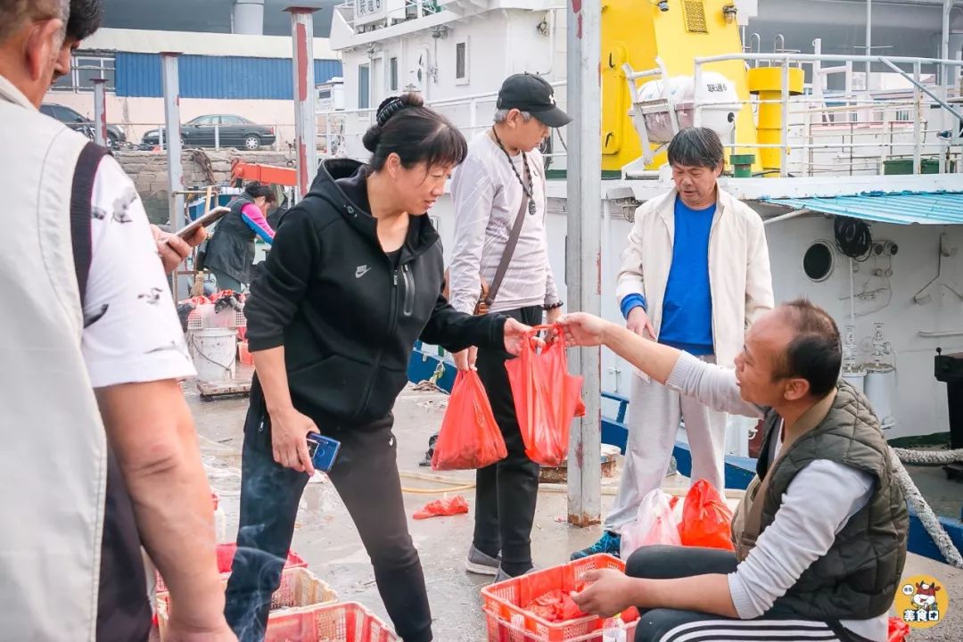 小港码头有蛏子吗,小港码头吃海鲜俱乐部电话
