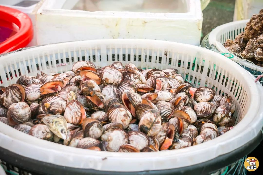 小港码头有蛏子吗,小港码头吃海鲜俱乐部电话
