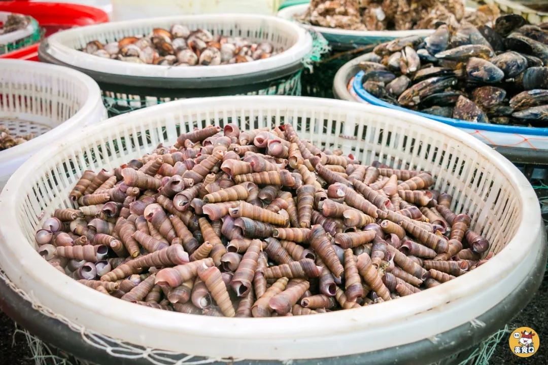 小港码头有蛏子吗,小港码头吃海鲜俱乐部电话