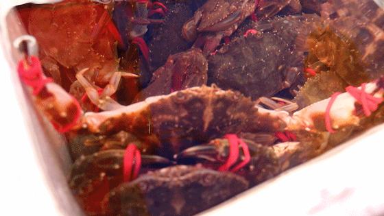 小港码头有蛏子吗,小港码头吃海鲜俱乐部电话