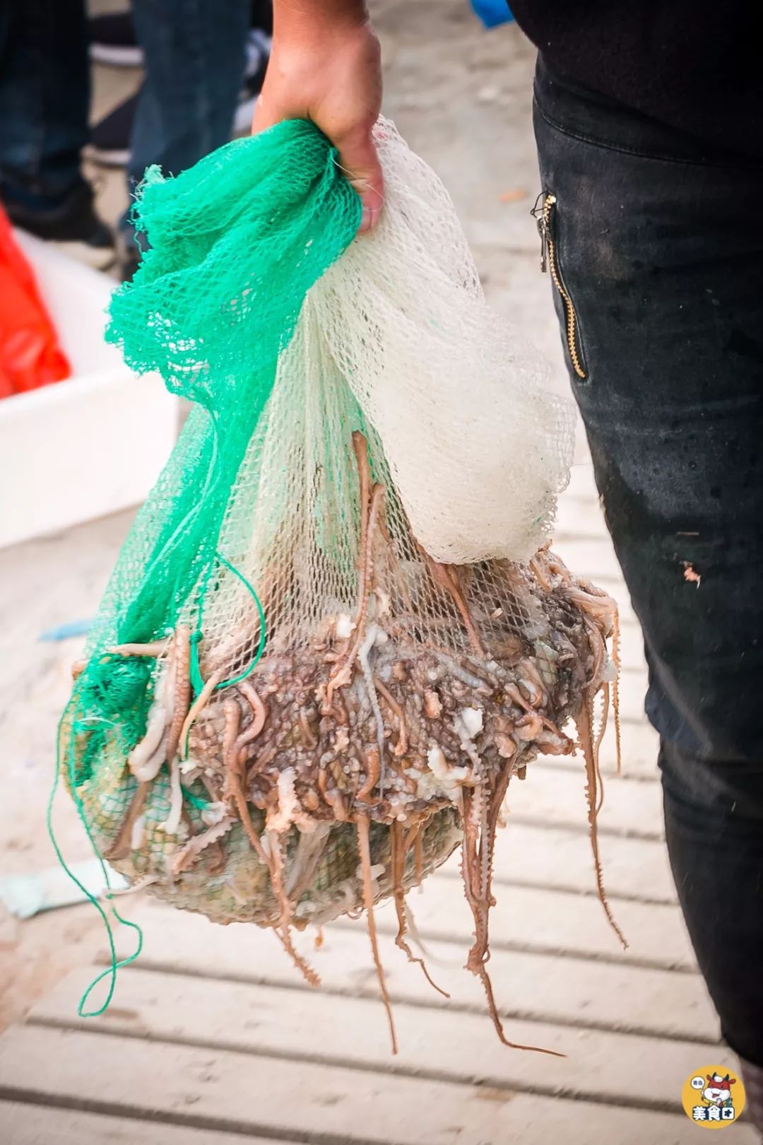 小港码头有蛏子吗,小港码头吃海鲜俱乐部电话