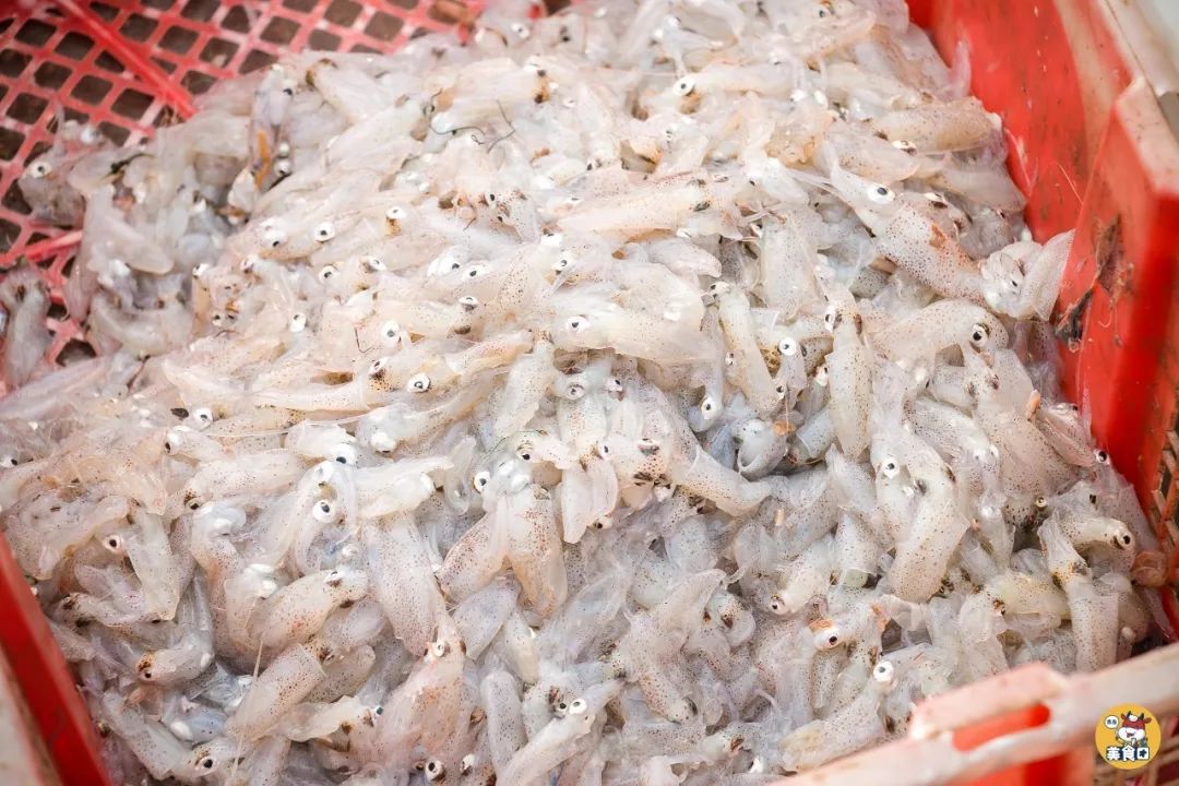 小港码头有蛏子吗,小港码头吃海鲜俱乐部电话