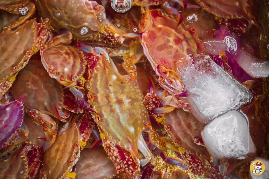 小港码头有蛏子吗,小港码头吃海鲜俱乐部电话