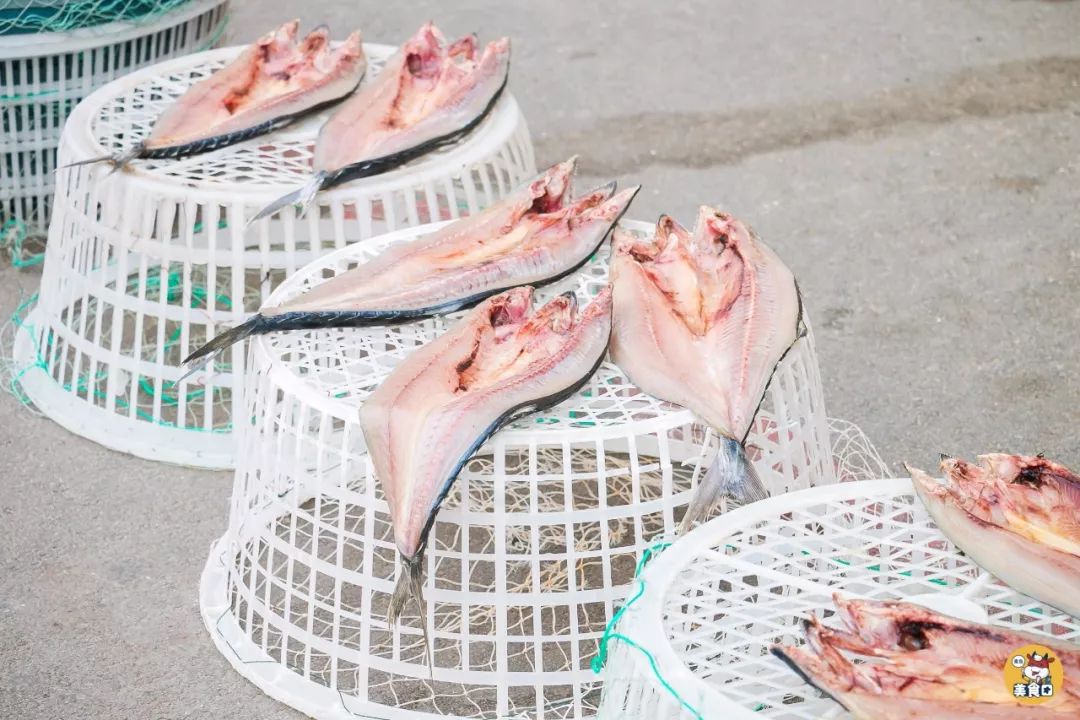 小港码头有蛏子吗,小港码头吃海鲜俱乐部电话