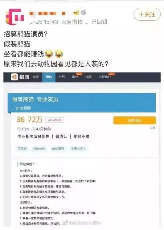 假扮大熊猫招聘,熊猫演员招聘