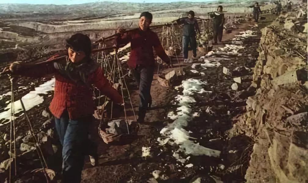 惠农农场，我魂牵梦萦的故乡丨夜听团41期