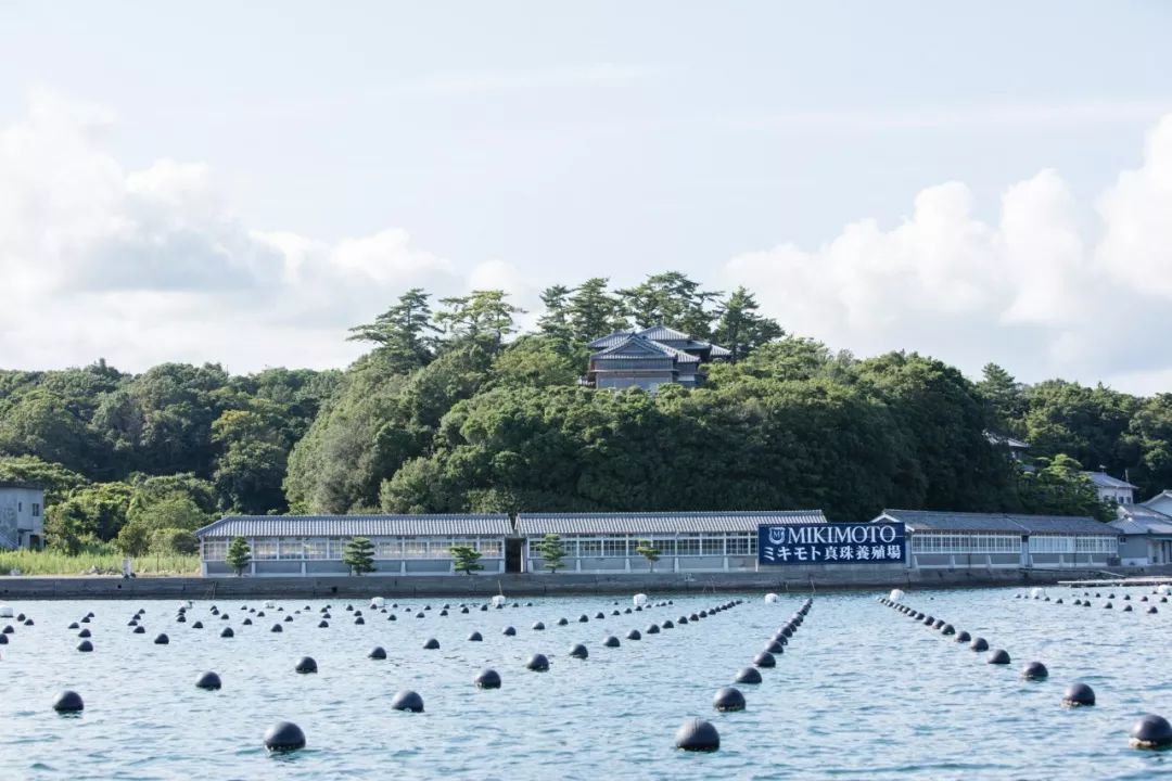泡全球仅一家的珍珠温泉,上小众景美的雪场滑雪,99%游客都不知道的日本玩法
