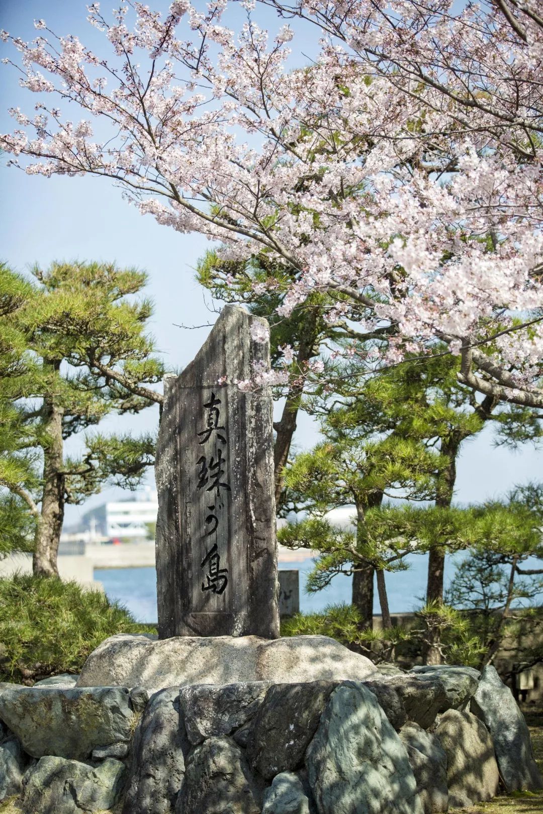 泡全球仅一家的珍珠温泉，上小众景美的雪场滑雪，99%游客都不知道的日本玩法