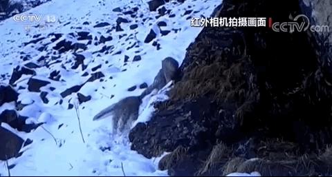 「玉田你早」2019年10月27日(周日)农历九月二十九今日非营运小型汽车不限行