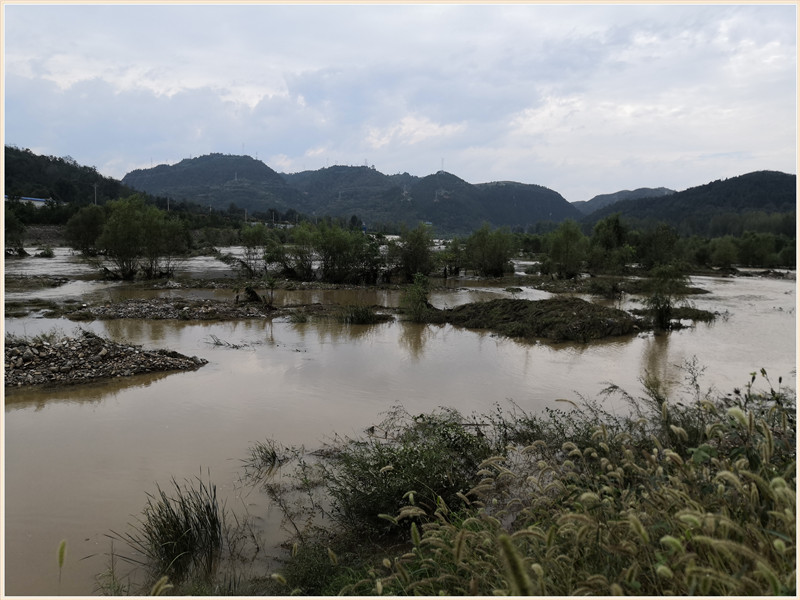 洪水钓大鱼,洪水钓鲫鱼用什么饵料
