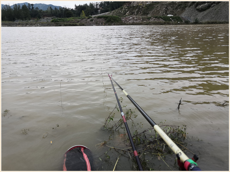 洪水钓大鱼,洪水钓鲫鱼用什么饵料