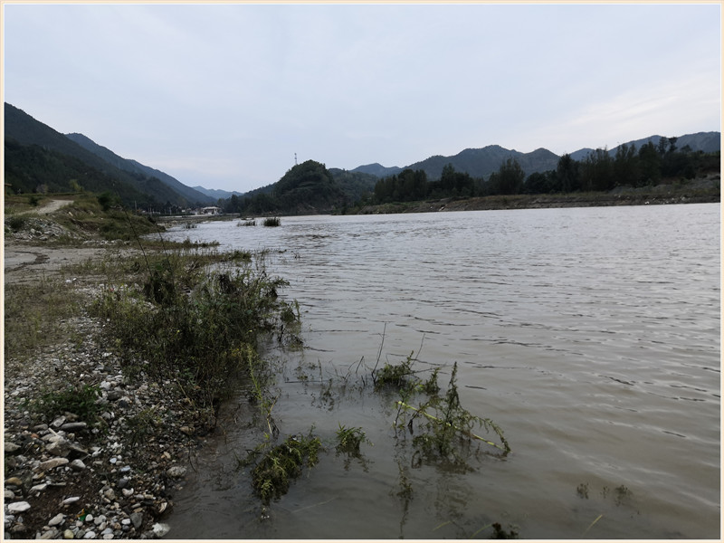 洪水钓大鱼,洪水钓鲫鱼用什么饵料