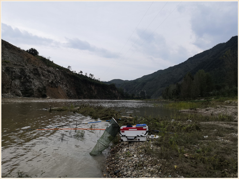 洪水钓大鱼,洪水钓鲫鱼用什么饵料