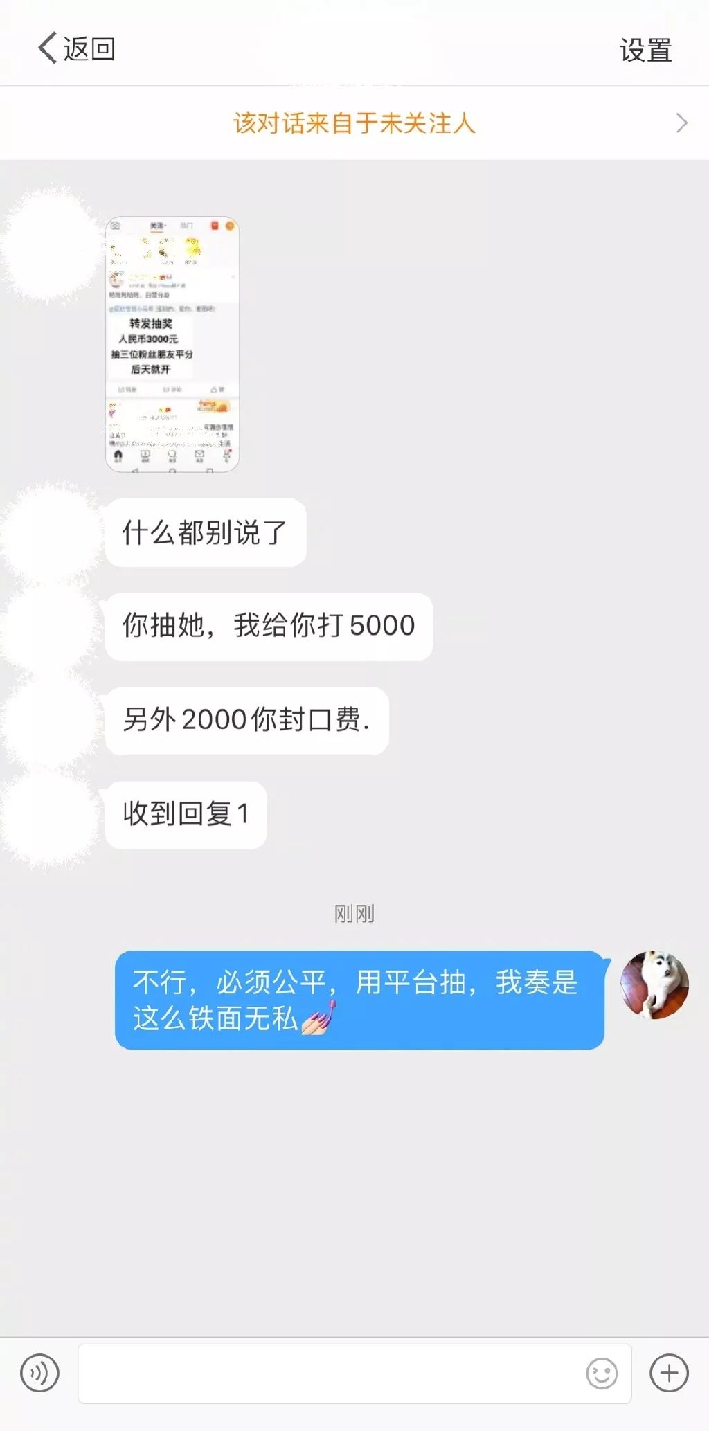 一条全是好运的集锦，据说能给大家带来好运气……