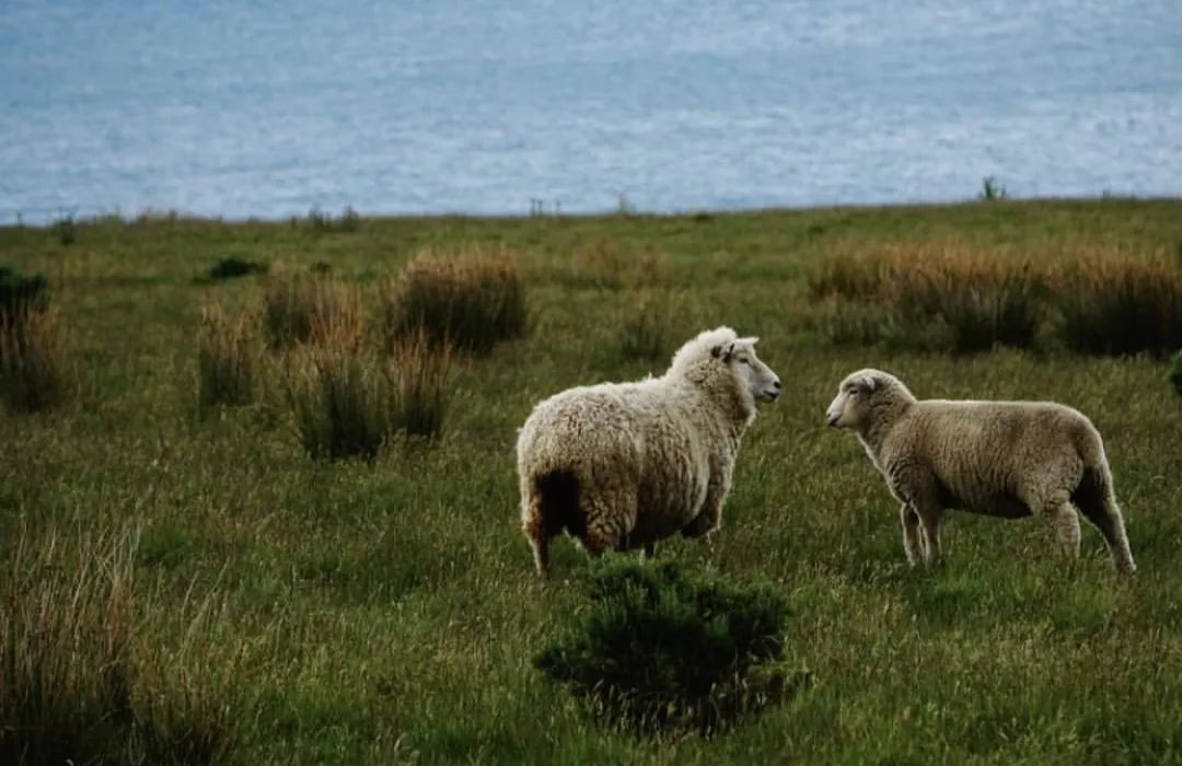 美剧指环王拍摄最新状况,美剧版指环王即将上拍