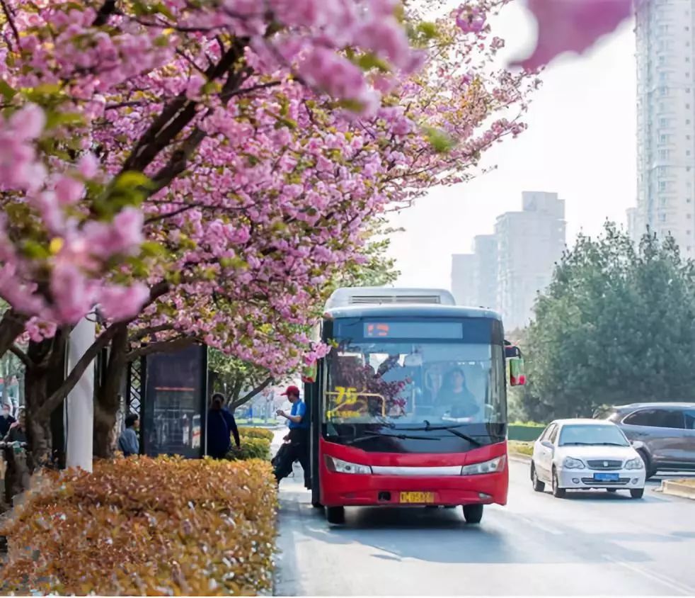 洛阳大发展最新消息,洛阳最近有啥好消息