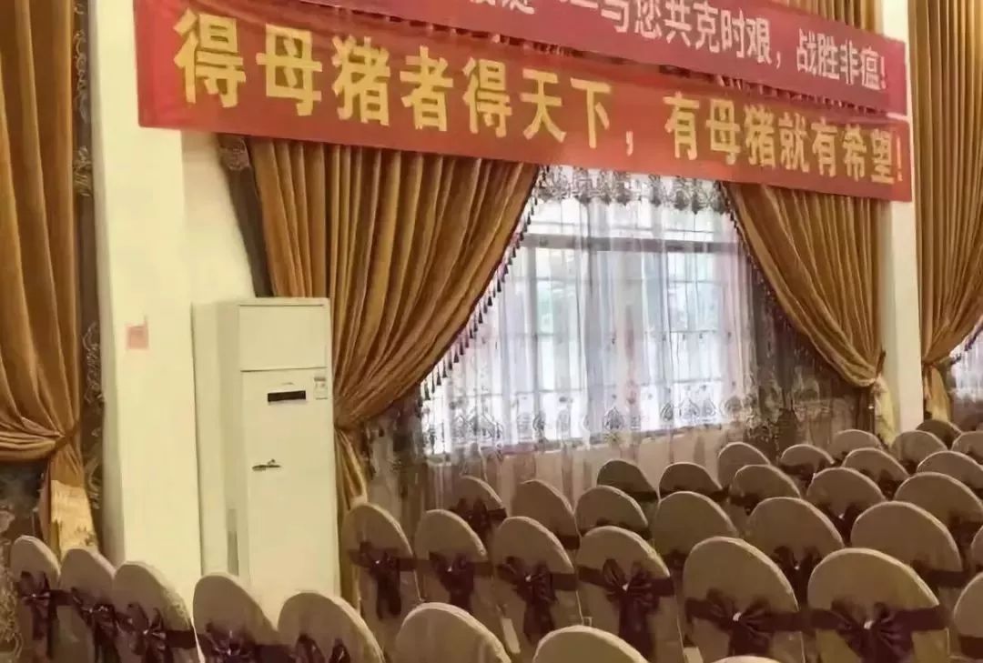 鏀硅鍏荤尓涓婂競鍏徃,涓婂競鍏徃鍏荤尓鐪熷疄鏀跺叆