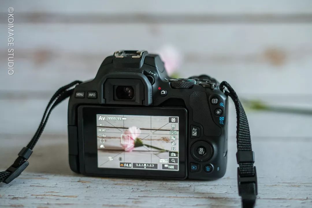 vlog单反入门级相机推荐,初学vlog适合用什么样的相机