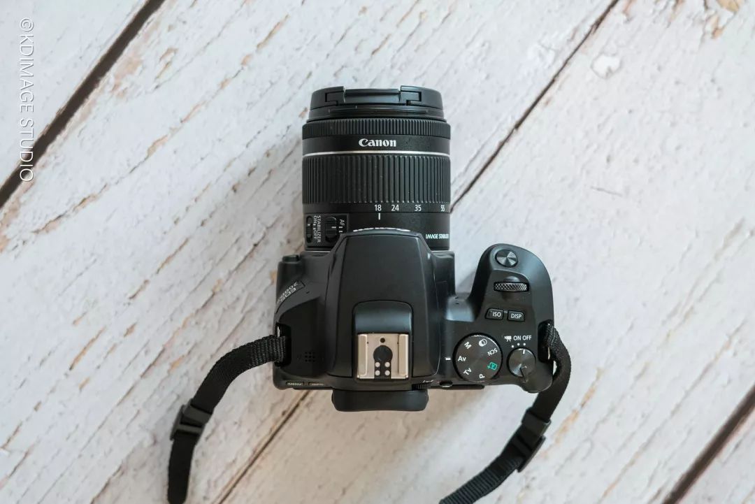 vlog单反入门级相机推荐,初学vlog适合用什么样的相机