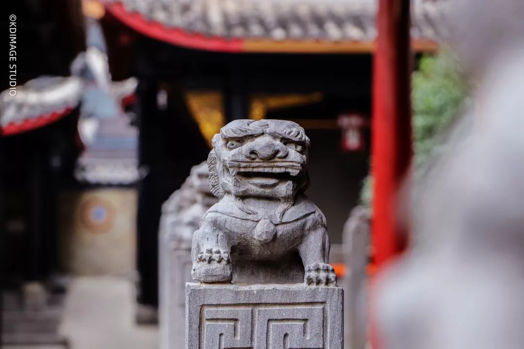 vlog单反入门级相机推荐,初学vlog适合用什么样的相机