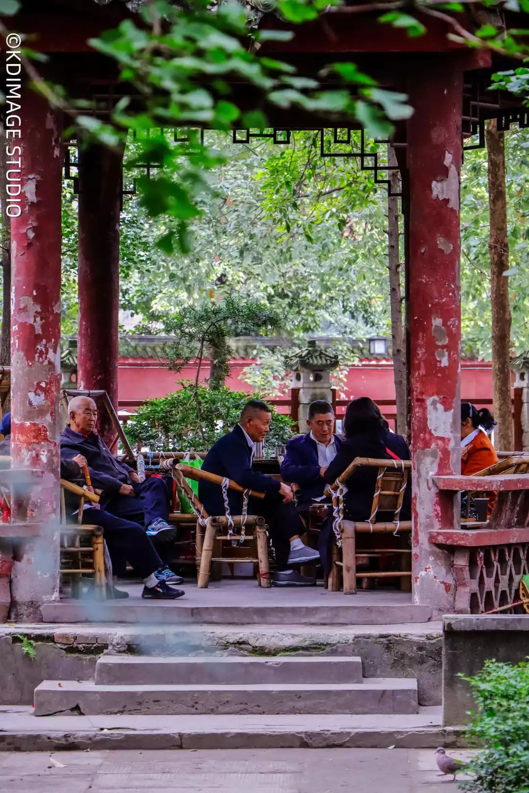 vlog单反入门级相机推荐,初学vlog适合用什么样的相机