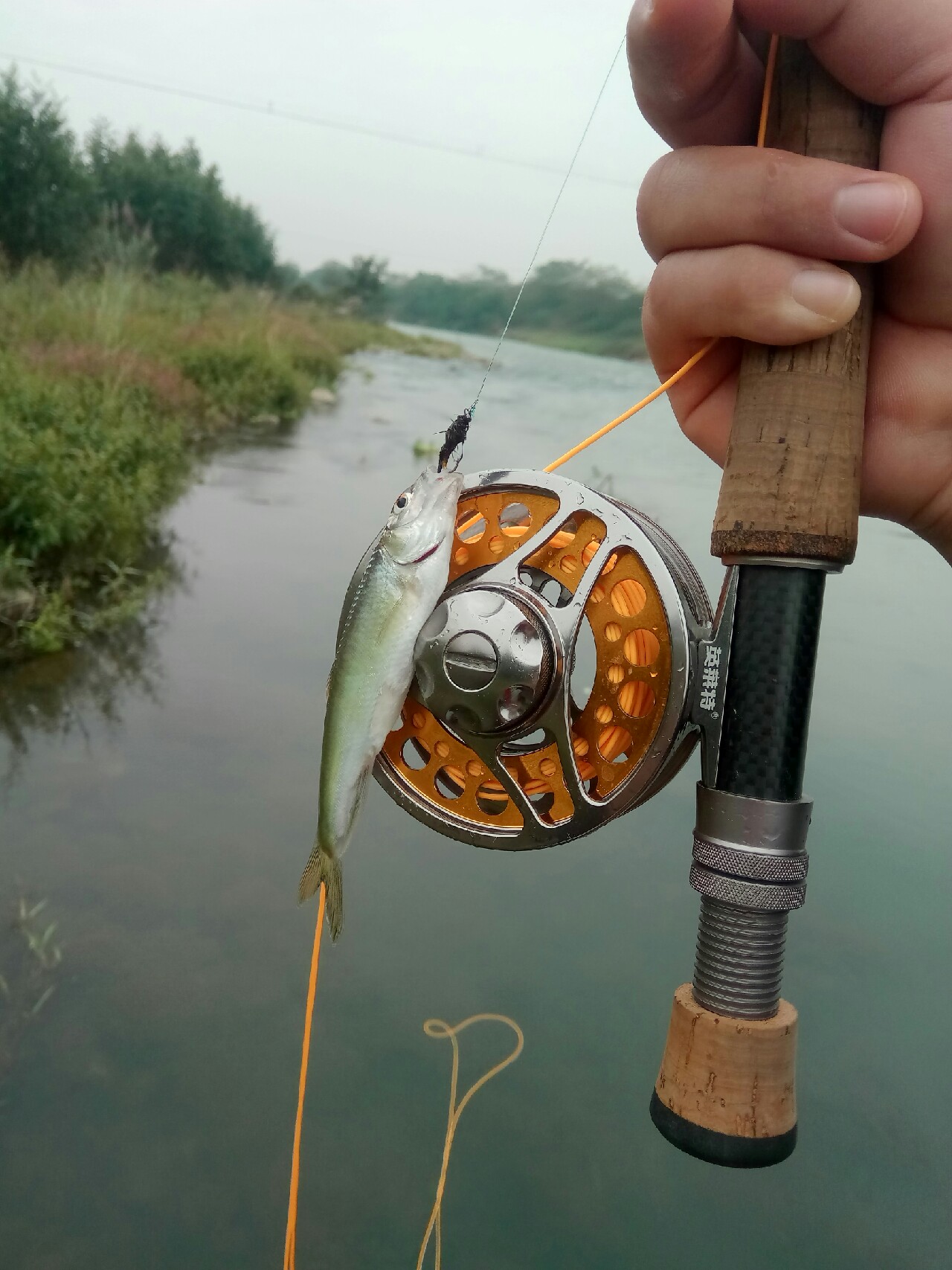 路亚飞蝇钩马口实战,路亚飞蝇钩怎么钓鲤鱼