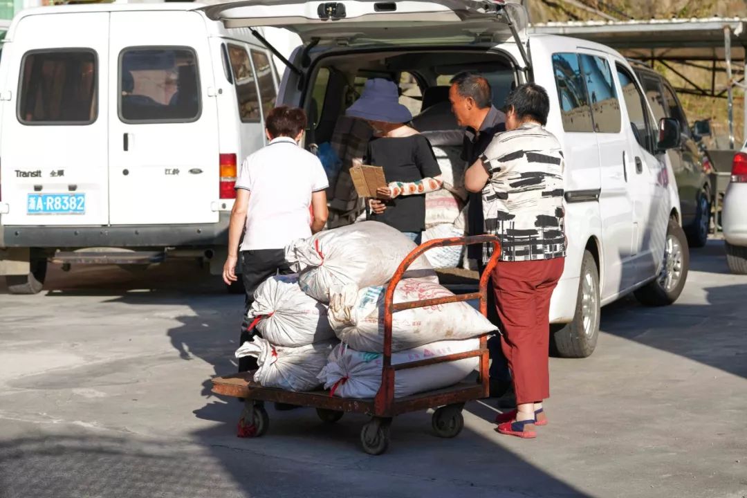 正宗非手剥山核桃,非常好吃又好剥的野生山核桃