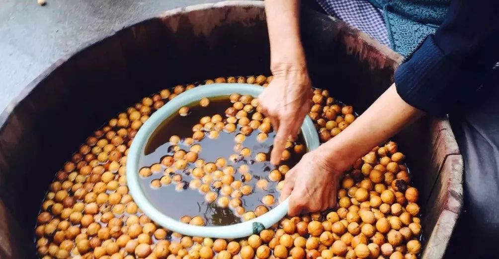 正宗非手剥山核桃,非常好吃又好剥的野生山核桃