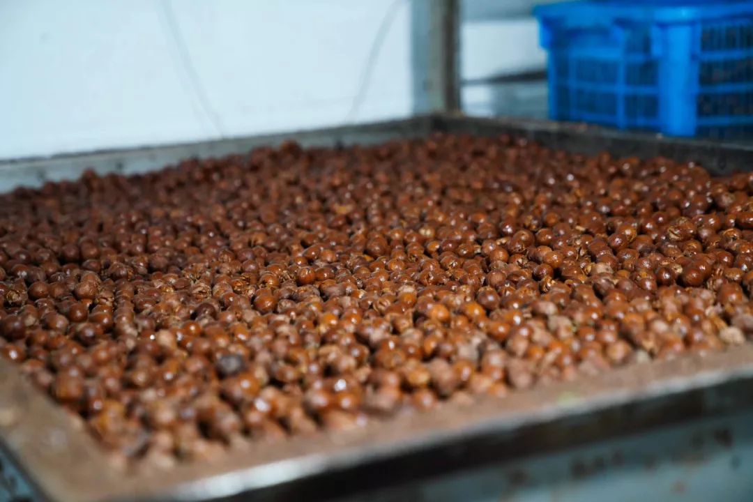 正宗非手剥山核桃,非常好吃又好剥的野生山核桃